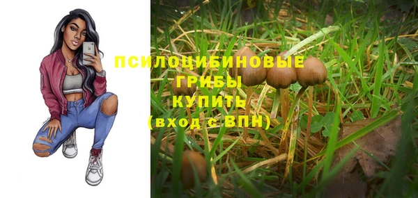 скорость Баксан